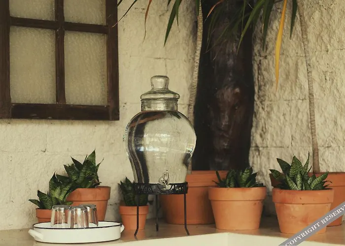 Howlita - Adult Only 3* Tulum