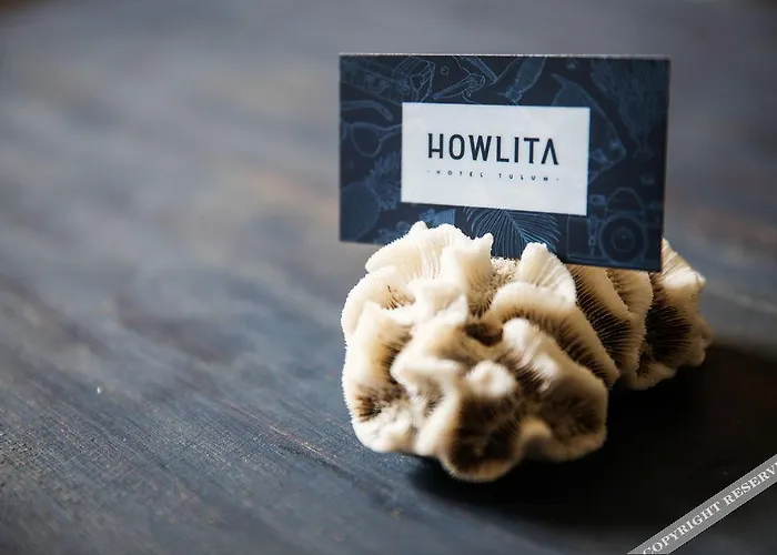 Howlita - Adult Only